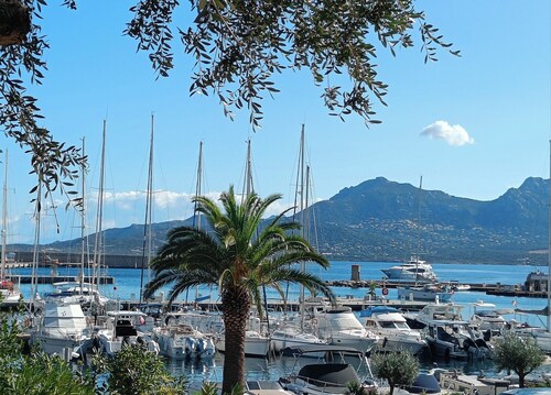 COUP DE ♥ VILLA CALVI Superb sea view and access to the sea