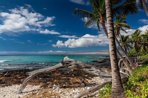 Ocean Front Estate, *Private Pool*, Exclusive Beach Frontage