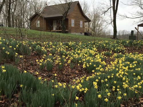 Peace, quiet and nature at your back door