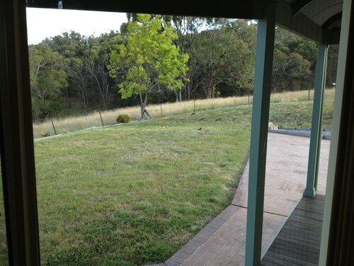 Comfortable  3 bed homestead on 160 Ac. Working Cattle farm. River and views.