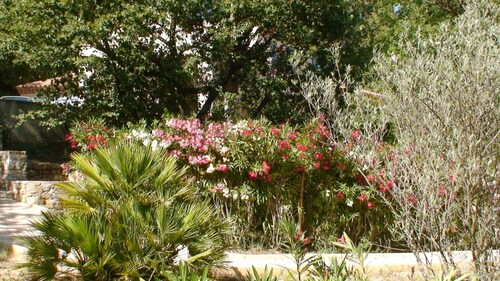 Villa Cornelius in Cabasse