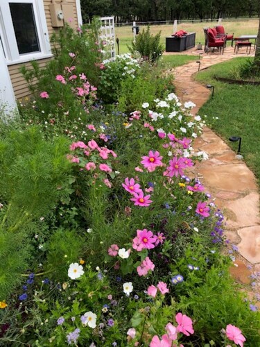 Perfect Location 3 miles fr Main St with Wildlife, Hot Tub and 2 King Bed/Baths