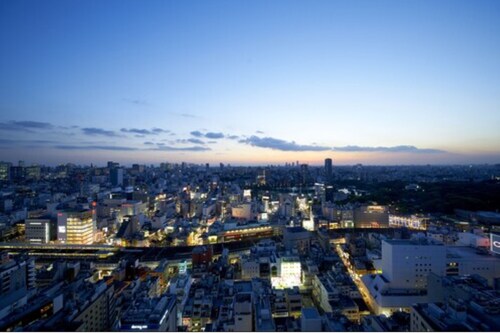 Hotel Crown Hills Ueno Premier