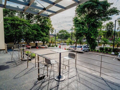 Ibis Asuncion