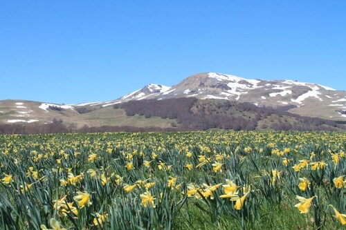 Aux Balcons du Sancy