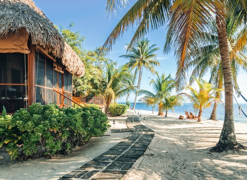 Turtle Inn by Francis Ford Coppola