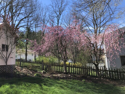 Historic center of the city