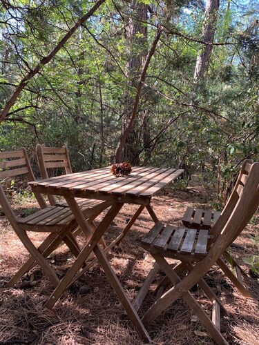 Wandering Elk Cabin in Pine