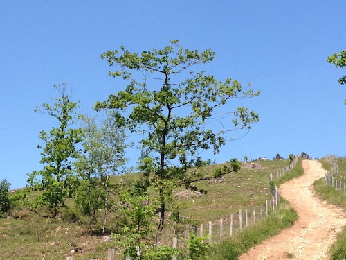 Mont-des-Pins Dennenheuvel