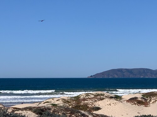 Dune Surfer Inn