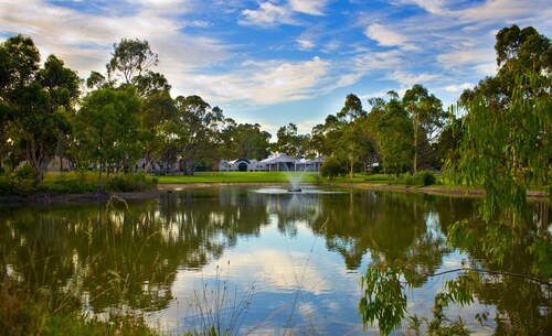 Serafino McLaren Vale