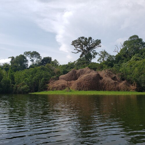 Amazon Arowana Lodge