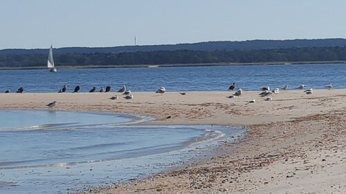 Beachfront Paradise in North Fork