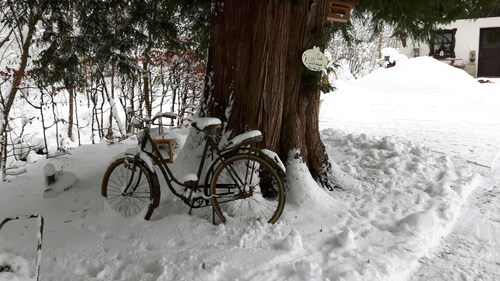 Ferienwohnung Landhaus Maria-Anna