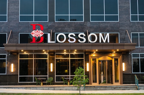 Blossom Hotel Houston