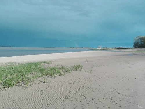 Ferienhaus Reetdachkate - Reetdachkate