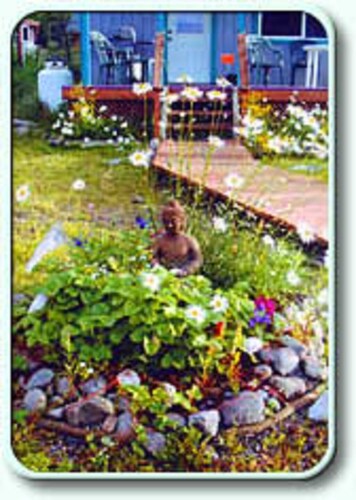 THE SEA SHANTY - A HOMER SEASIDE COTTAGE
