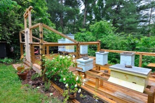 “Just BEE🐝Log Cabin"-Stunning, peaceful, NEW , -10 min to Dwtn Ashe