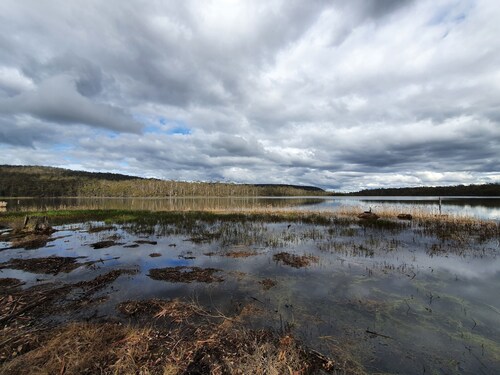 Lake Yalleena Nature Retreat