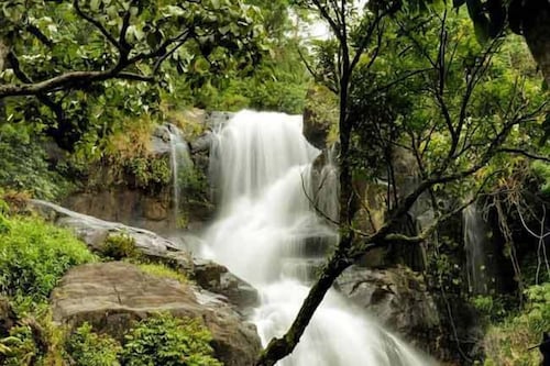 Banasura Hill Resort