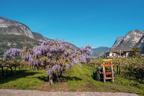 Antico Fienile Agritur
