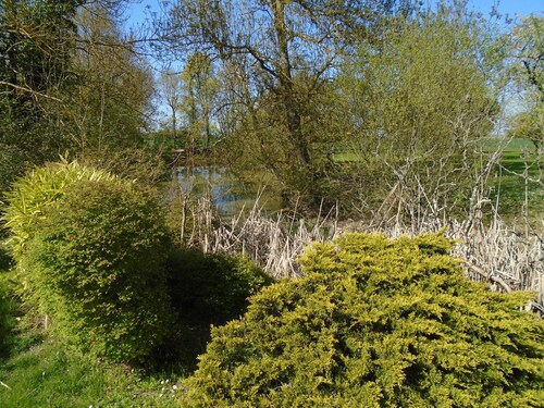 Les Chambres de la Belle Etoile