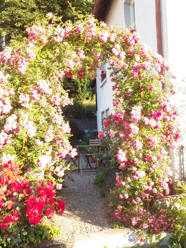 stilvolle Ferienwohnung in idyllischer Lage mit Feldbergblick