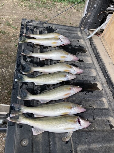 NE South Dakota Sportsmen Paradise