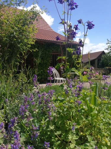 Zimmer "Vers la cour" auf ehemaligem Bauernhof mit Pool