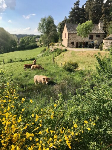 Character house at the gates of Aubrac
