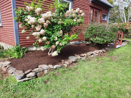 Island Home Minutes Away from beaches, hiking, kayaking, or seaside dining