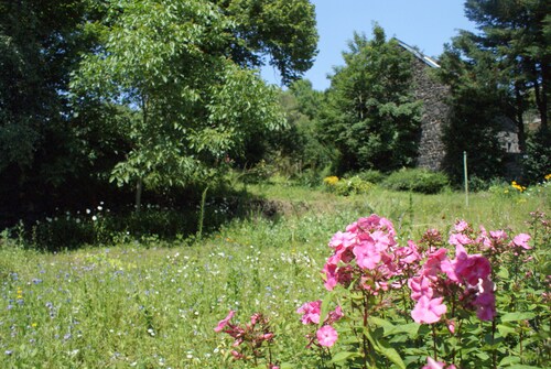 A 15 minutes de Vulcania, grande maison familiale avec jardin, Gîte Côté Jardin