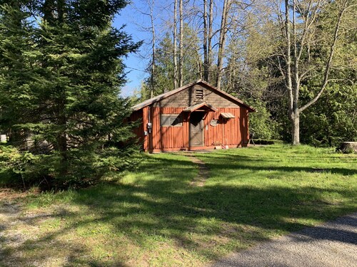 Cozy cabin on the river! Steps from the water, amazing views of river & wildlife
