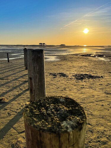 Gemütliche kleine Ferienwohnung Deichgeflüster