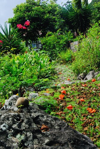 Historic Saban cottage in Windwardside, all amenities only a 2 minute walk away!