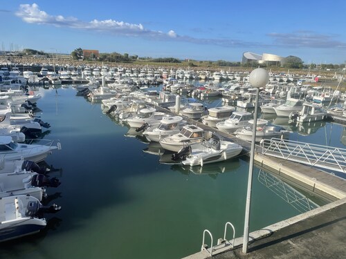 Appartement orchidée