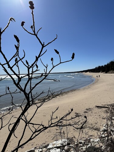 Cozy cottage tucked in the woods. 5 minutes from Cave Point and Whitefish Dunes.