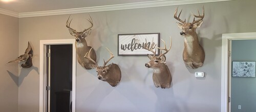 Country home getaway; great for nature lovers!