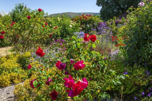 Coach House View, Porlock Weir