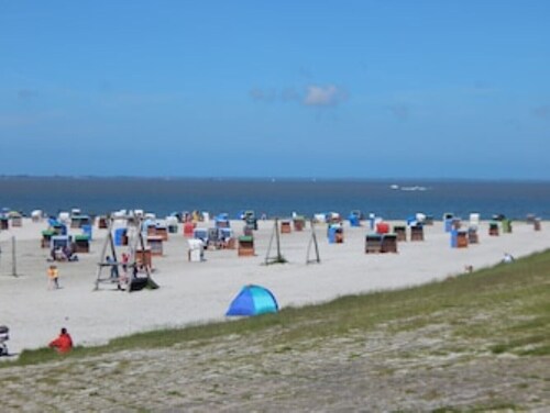 Top-Ferienhaus,6 P,Sauna,2 Bäder,WLAN,Kamin,Terrasse,Spielplatz,Haustiere willk.