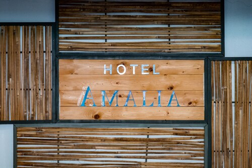 Hotel Amalia