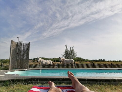 2 houses in the heart of nature with private pool New: bring your horses!