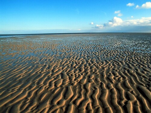 Ferienhaus Waterkant mit Hund in Klanxbüll/ NF, nahe der dänischen Grenze