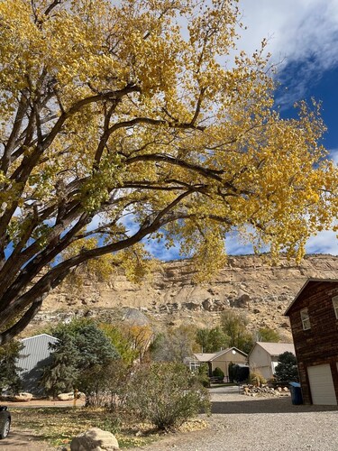 The Homestead