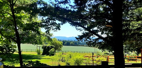 Little Red Caboose with a View in the Scenic Columbia River Gorge