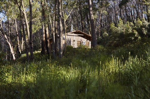 A bright spacious private timber cabin, on a beautiful 11acre off-grid property!