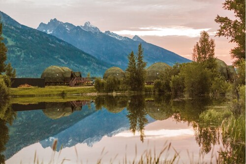 Tammah Jackson Hole
