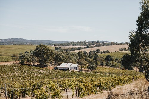 Vineview Cottage- A farmhouse cottage set on a Riesling Vineyard. Near wineries!