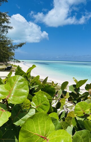 🩵NEW TO VRBO💛Luxury Cottage💜Double kayak, beach snorkel gear! Outdoor shower! 🏝️🇧🇸