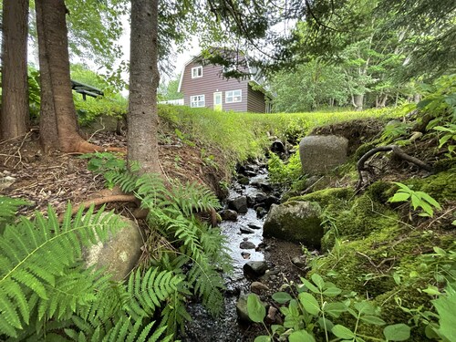 "Forest Lake House" by DMNikas spectacular lakefront Cape Breton Island, Canada